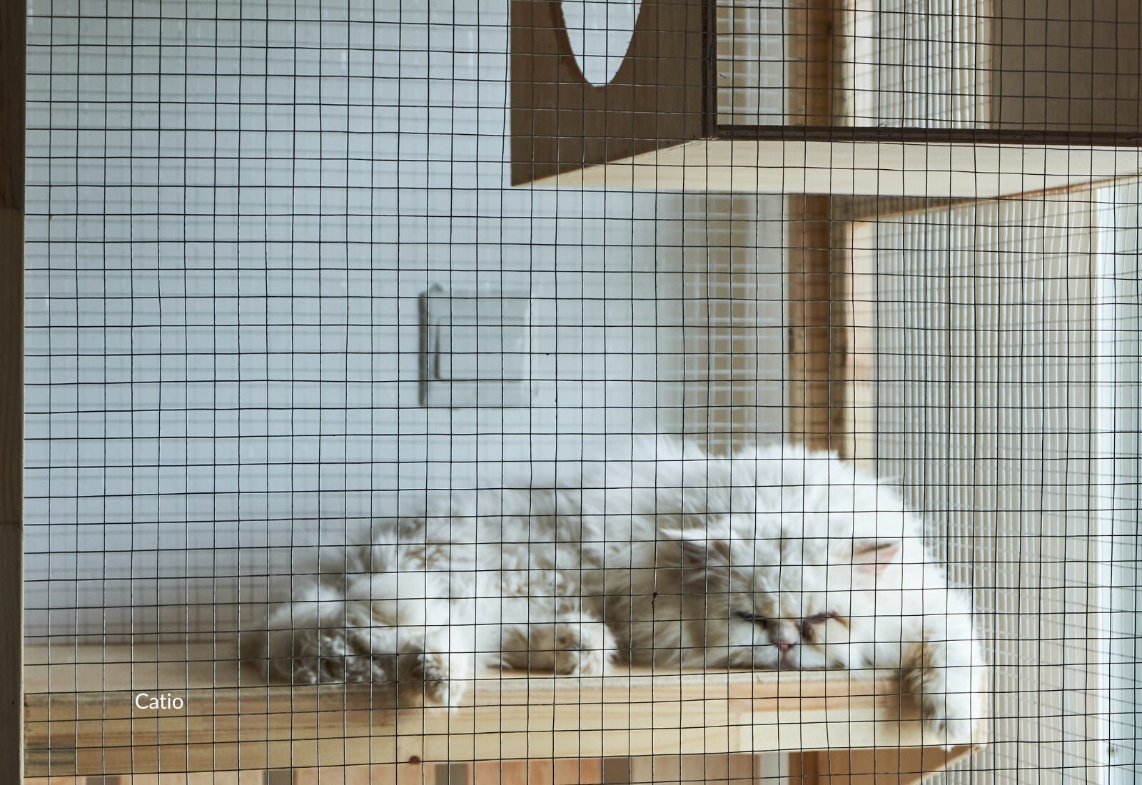 Catios: Commercial Kits vs. Home-Built Enclosures