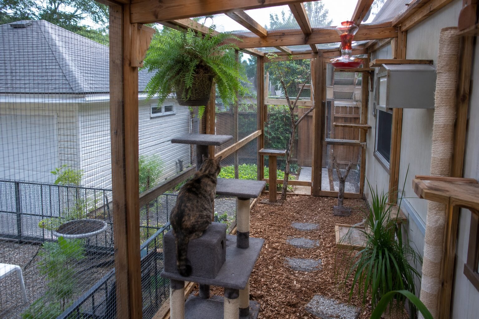 How to Build a Walk-In Catio: Materials List, Build Plan, and Free Download