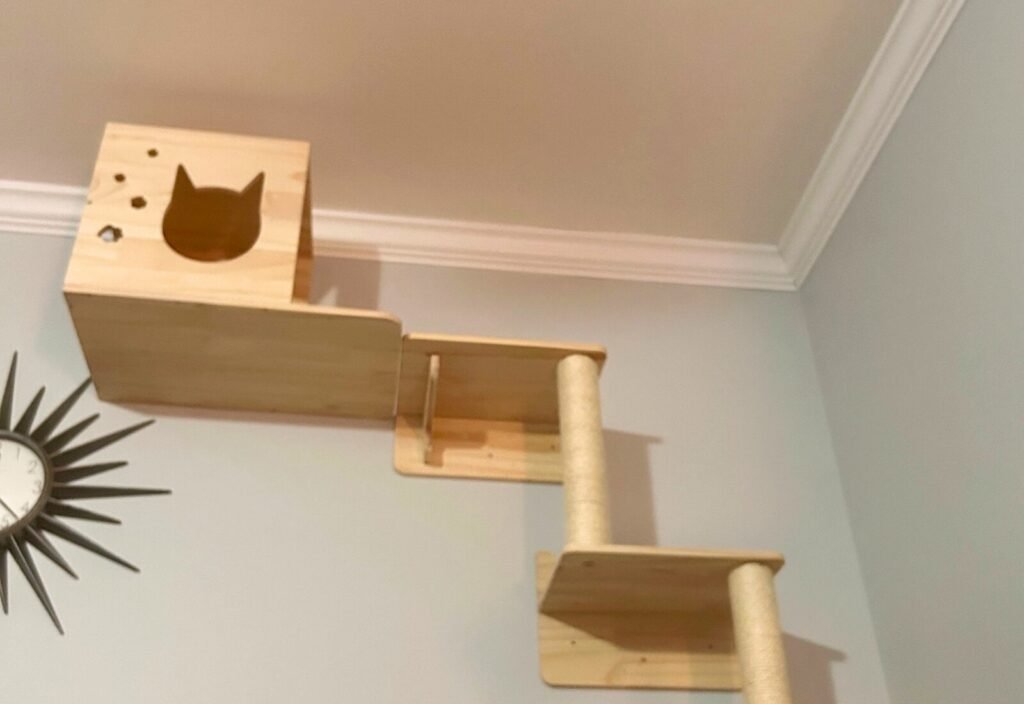 MIUZMORE wall-mounted cat furniture installed in a corner, showing the enclosed house box and sisal-wrapped scratching posts