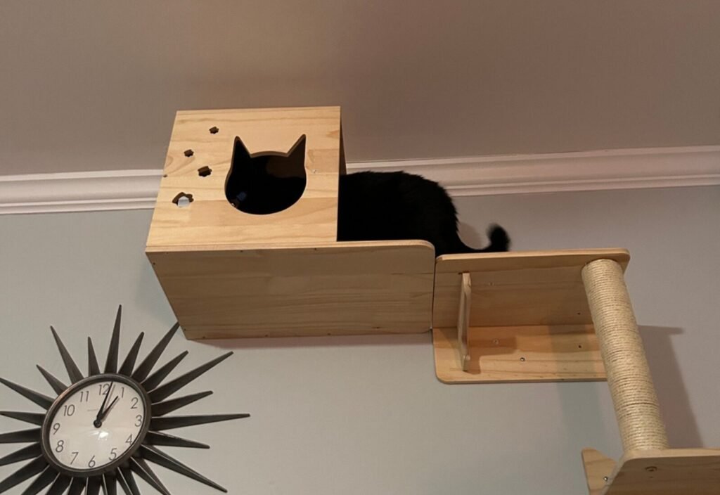 Pawley, a black cat, exploring the enclosed house box of the MIUZMORE wall-mounted cat furniture