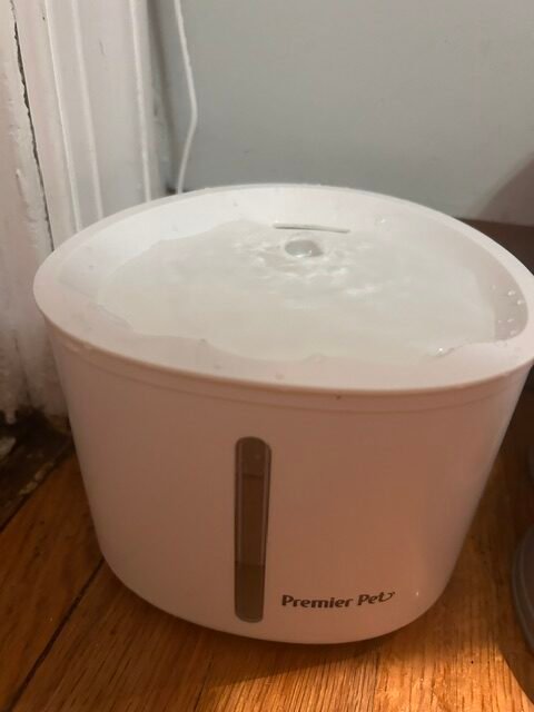 Premier Pet white plastic USB water fountain on a wood floor, filled with water