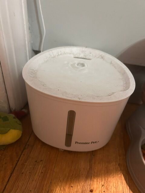 Close view of the Premier Pet fountain clamshell lid showing dust and grime buildup along the rim