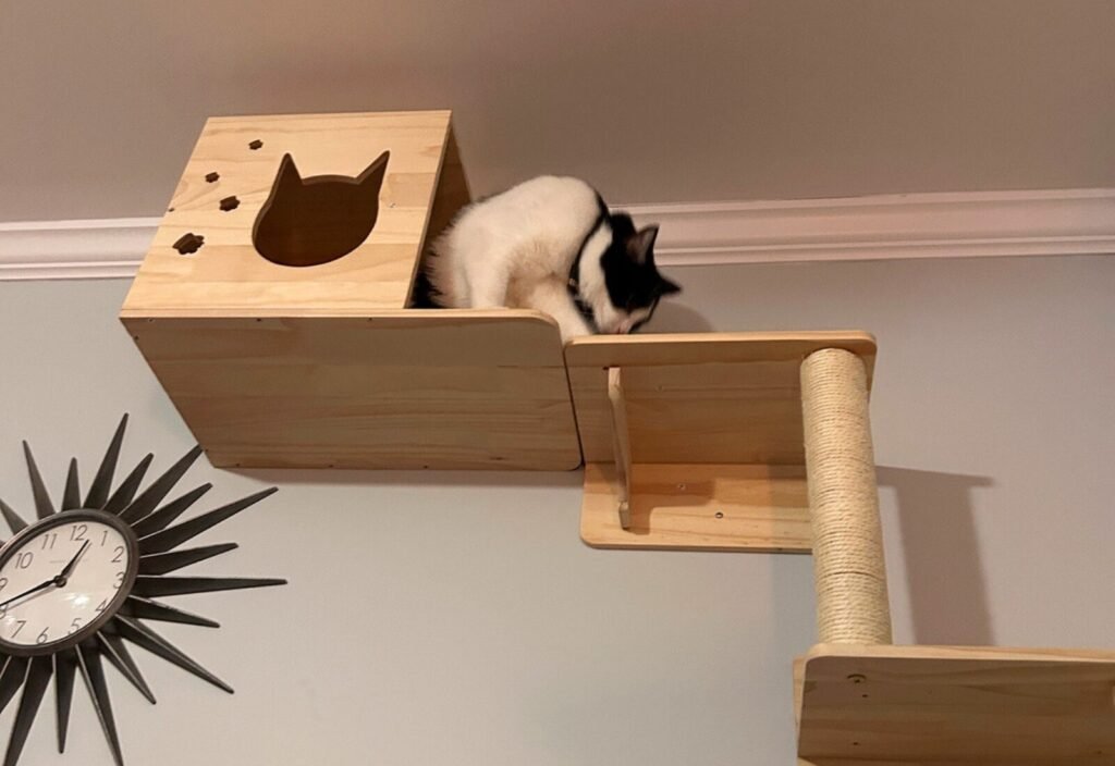 Purr, a black and white cat, resting inside the enclosed house box of the MIUZMORE wall-mounted cat furniture