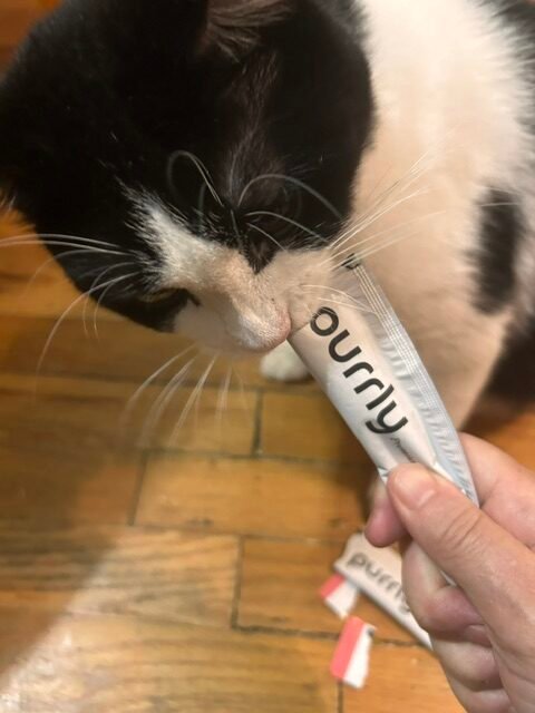 Lickable Cat Treats Compared: Purrly, Choolip, and Tiki Cat Stix